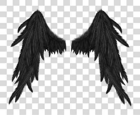 Download Demon Wings No Background PNG file