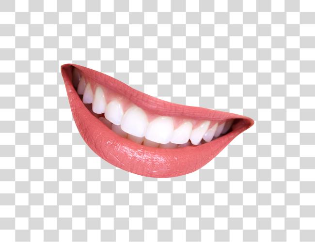 Download Tooth Mouth Teeth Smiling Mouth No Clip Art