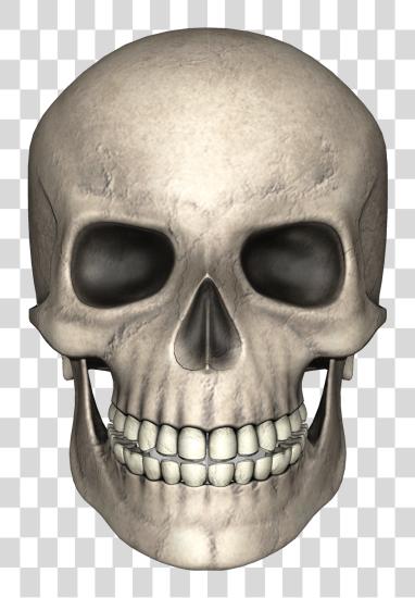 下载 Skull Skull PNG file