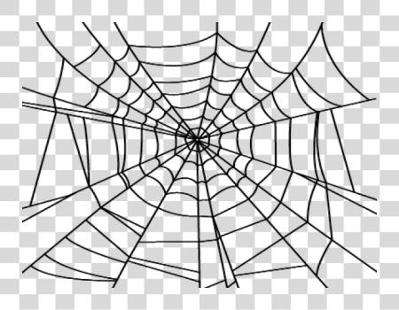 Download Drawn Spider Web Spider Web PNG file