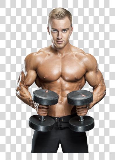 Download hombre gimnasio Push día entrenamiento PNG file