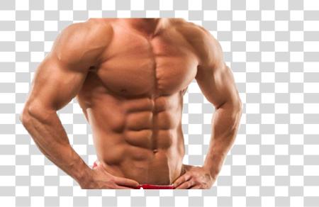 Download Muscle Sticker Muscle Body PNG file