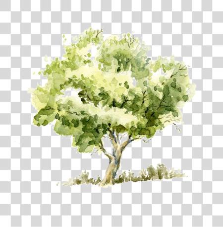 Download Watercolor Painting Sketch Trees Transprent Tree Watercolor PNG file