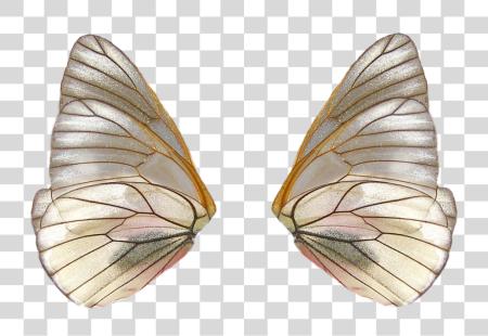 Download Share This Image Realistic Fairy Wings PNG file