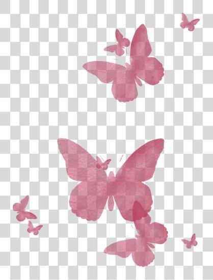 下载 粉红色 Butterflies 蝴蝶 粉红色 PNG file