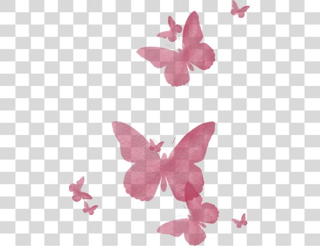 تحميل وردي Butterflies فراشة وردي مقطوعة فن