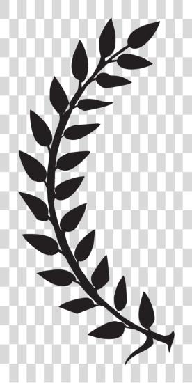 下载 Laurel Leaves Left01 Arco De Laurel PNG file