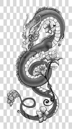 下载 Dragon Tattoo Image Dragon Arm Tattoo PNG file