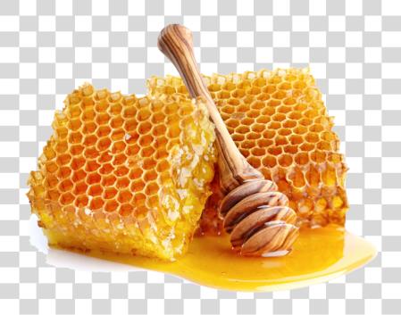 Download Honey Natural Honey PNG file