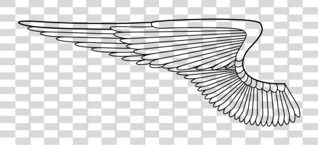 Download Angel Wings Graphic On Pixabay Wings PNG file