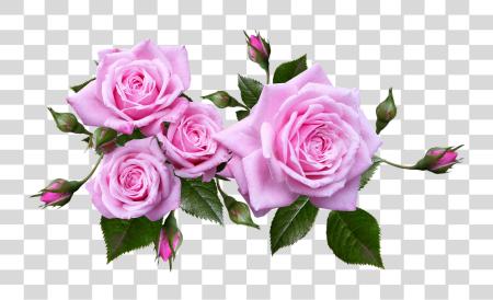 Download Rose Flower Arrangement Plant Flower Arrangement Roses PNG file