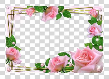 Download Phenomenological Religious And Deconstructive Views Beautiful Flowers Frame PNG file