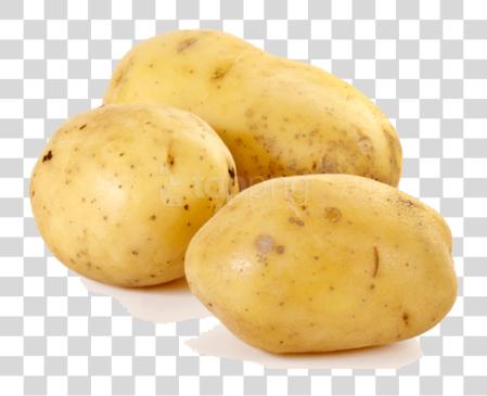 تحميل بطاطس Potatoes بي ان جي ملف