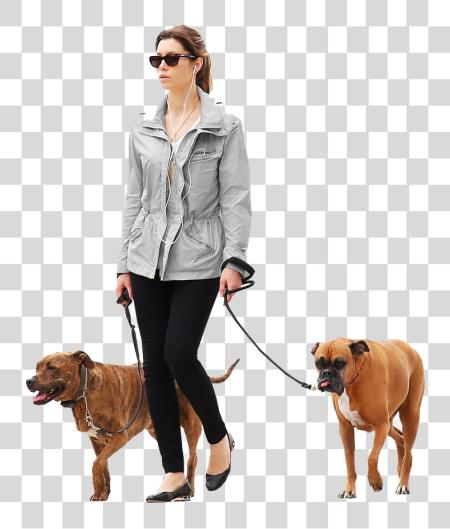 Download perros persona caminando perro PNG file