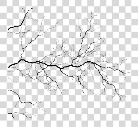 Download Veins PNG file