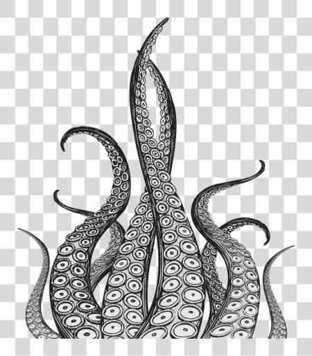 下载 Octopus Tentacles Pic Tentacles PNG file