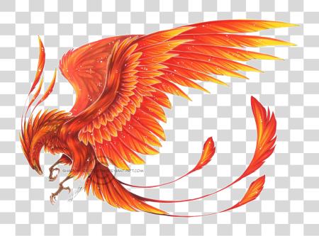 Download Phoenix Bird PNG file