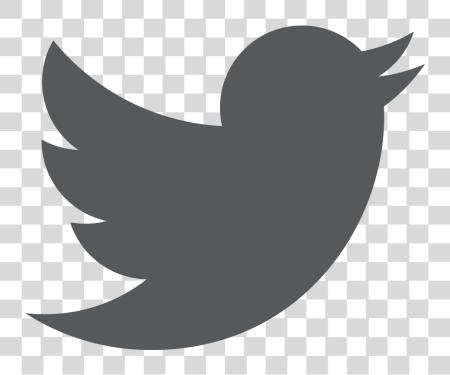 Download old twitter logo PNG file