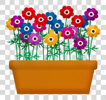 Download Flower Box Flowers And Plants PNG file