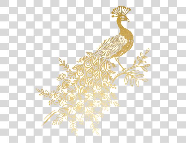 Download Weed Joint Golden Peacock Feather Clip Art