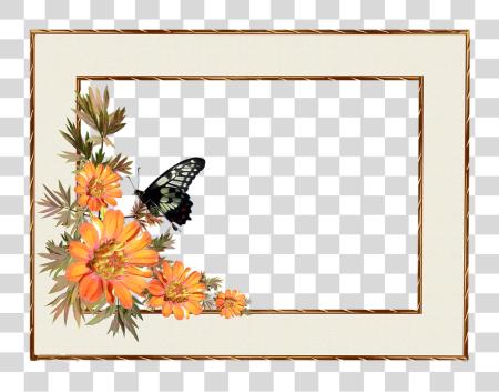 Download marco Border Flowers mariposa Decorative Border flor Frames PNG file