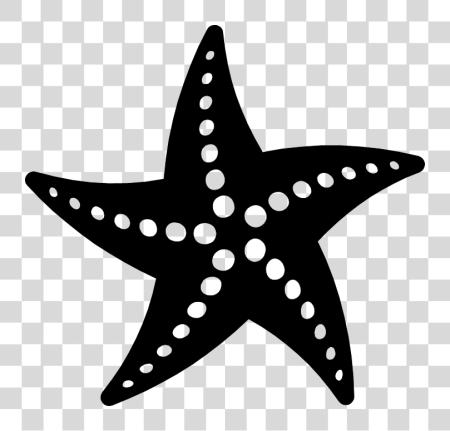 Download Starfish negro y blanco Starfish PNG file