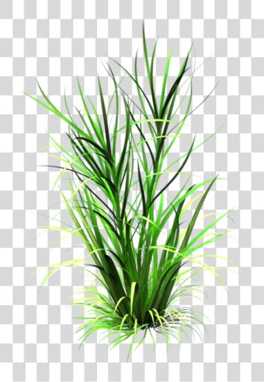 Download Tall Grass Texture Cartoon Grass Texture PNG file