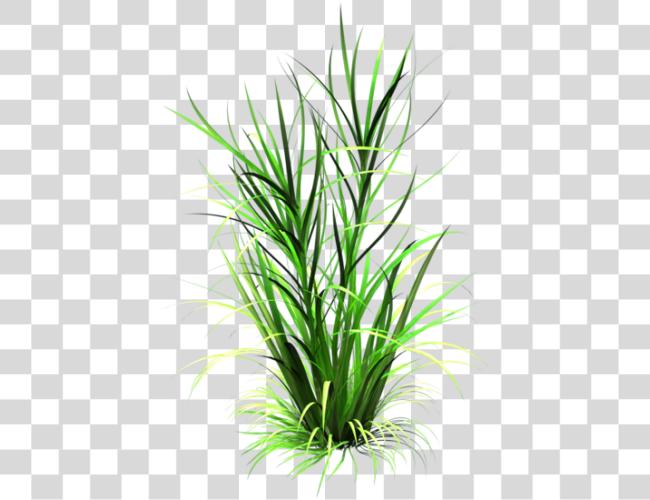 Download Tall Grass Texture Cartoon Grass Texture Clip Art