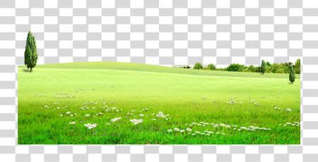 Download Grass naturaleza verde PNG file