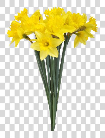 Download Vase Daffodil flor Stock Photography flor ramo Background PNG file