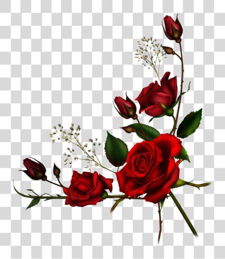 Download rojo rosa Borders rojo rosas Border PNG file