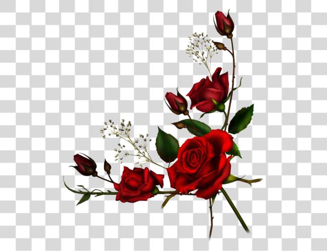 Download rojo rosa Borders rojo rosas Border Clip arte