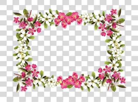 Download Flower Rose Flower Frame PNG file