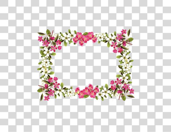 Download Flower Rose Flower Frame Clip Art