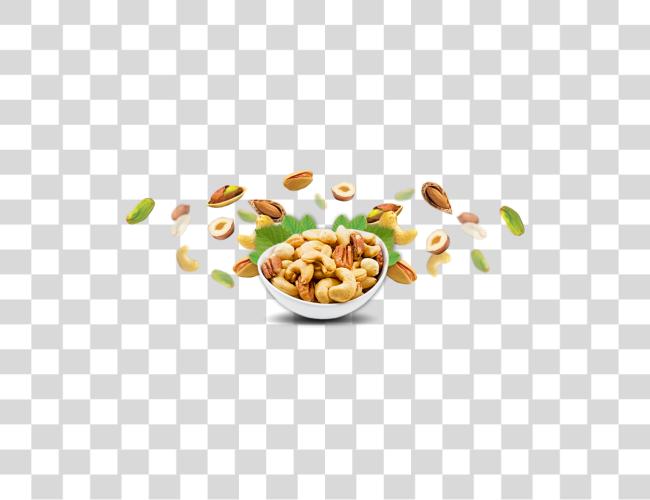 Download Our Products Nuts Clip Art