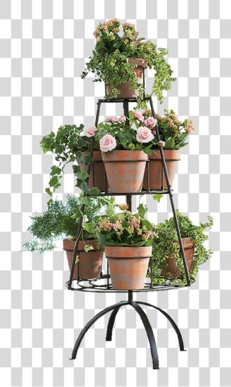 下载 花 Pot 與 Table PNG file