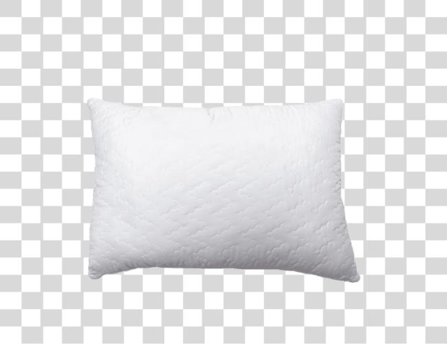 Download Pillow Pillows White No Clip Art