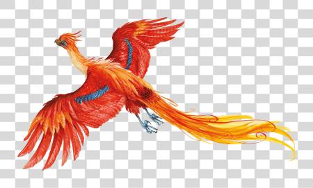 下载 Harry Potter No Harry Potter 鳳凰 PNG file