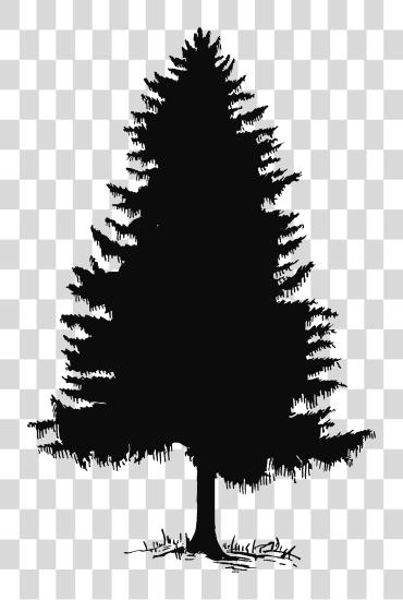 Download Pine Tree Tree Silhouette And On 2 Pine Tree Silhouette PNG file