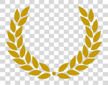 下载 Laurel Wreath 繪畫 Bay Laurel 銀 Laurel Wreath PNG file