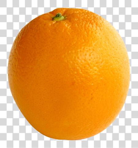 Download Orange Image Orange With A PNG file