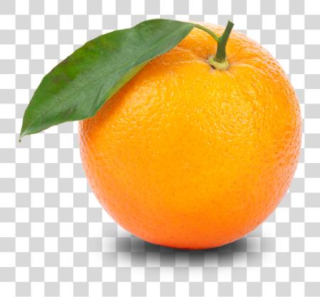 Download Image Orange PNG file