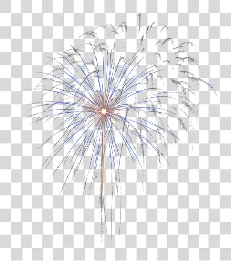 Download Real Fireworks PNG file