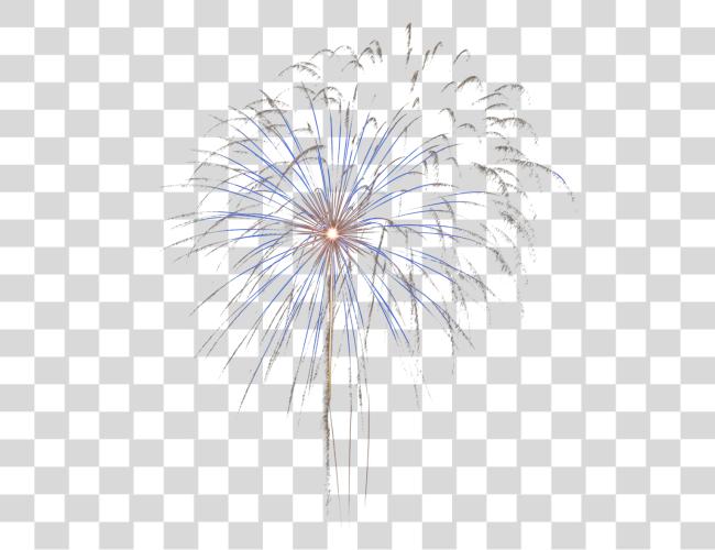 Download Real Fireworks Clip Art