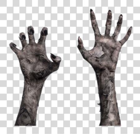 下载 728 X 696 3 Zombie Hand PNG file