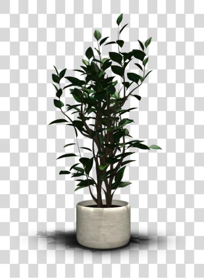 下载 房子 Plant PNG file