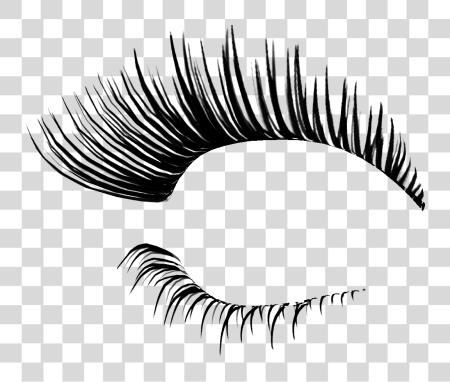 下载 Lashes PNG file