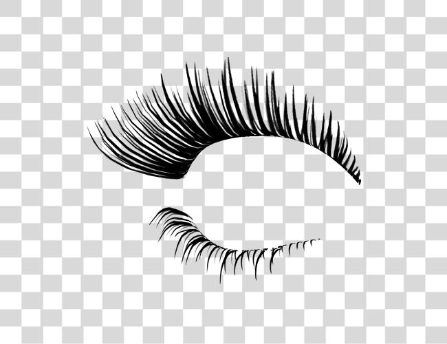 Download Lashes Clip Art