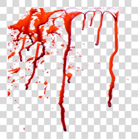 下载 Blood Image Blood PNG file