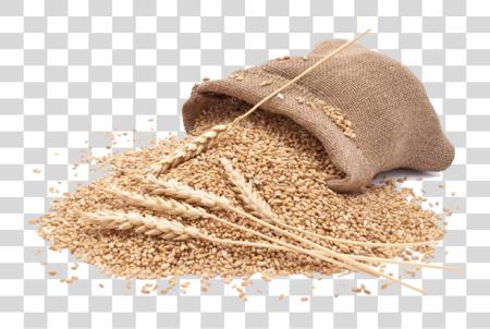 Download orgánico Wheat entero Wheat Flour PNG file